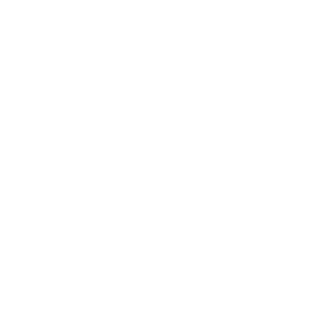 Raynine Media Logo